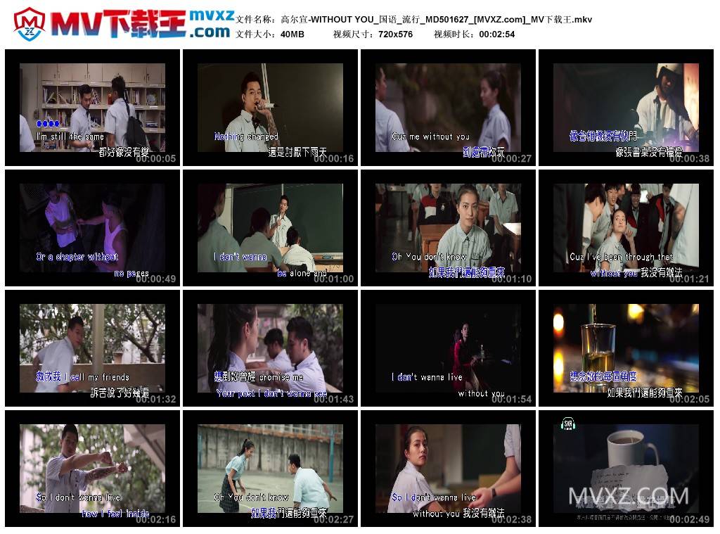 高尔宣-WITHOUT YOU_国语_流行_MD501627